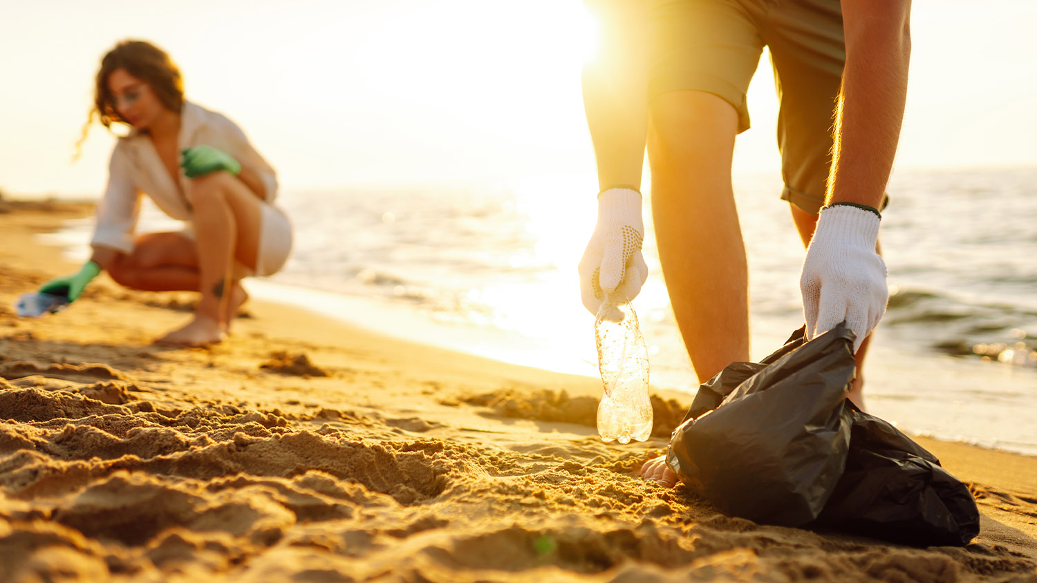 Venice Beach cleanup